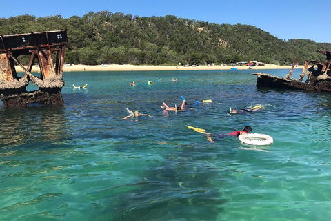 All Inclusive Dolphin And Tangalooma Wrecks Cruise - Accommodation Burleigh 0