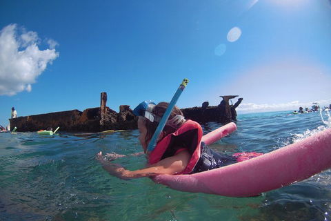 All Inclusive Dolphin And Tangalooma Wrecks Cruise - Accommodation Burleigh 2