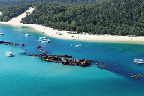 All Inclusive Dolphin And Tangalooma Wrecks Cruise - Accommodation Burleigh 4