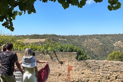 Private Mclaren Vale Wine Tour - Accommodation Burleigh 2