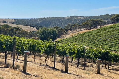 Private Mclaren Vale Wine Tour - Accommodation Burleigh 3
