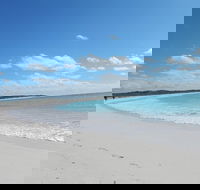 Shipwreck Special Nature Tour/Half Day Tour - Accommodation Burleigh