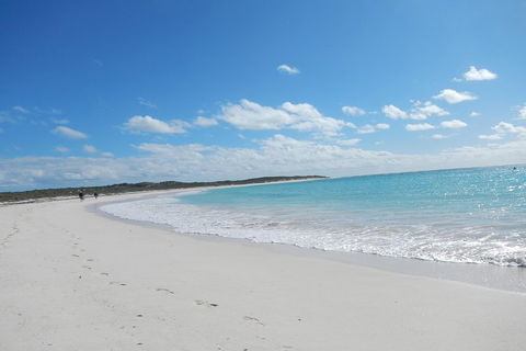 Shipwreck Special Nature Tour/Half Day Tour - Accommodation Burleigh 0