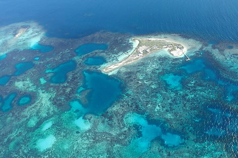 Shipwreck Special Nature Tour/Half Day Tour - Accommodation Burleigh 5