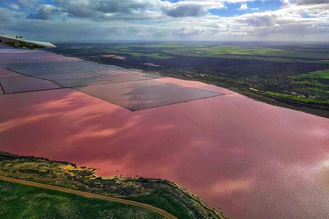 Kalbarri, Pink Lake And Abrolhos Islands Nature Tour - Accommodation Burleigh 1
