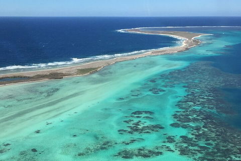 Kalbarri, Pink Lake And Abrolhos Islands Nature Tour - Accommodation Burleigh 3