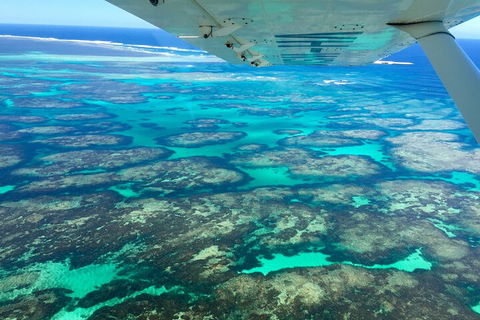 Kalbarri, Pink Lake And Abrolhos Islands Nature Tour - Accommodation Burleigh 5