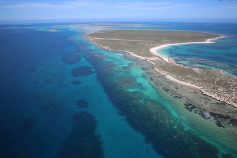 Pink Lake + Abrolhos Islands Scenic Flight - Accommodation Burleigh 0