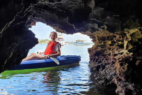 Cliffs And Caves Kayak Tour In Swan River - Accommodation Burleigh 1
