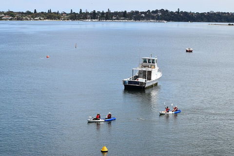 Cliffs And Caves Kayak Tour In Swan River - Accommodation Burleigh 2