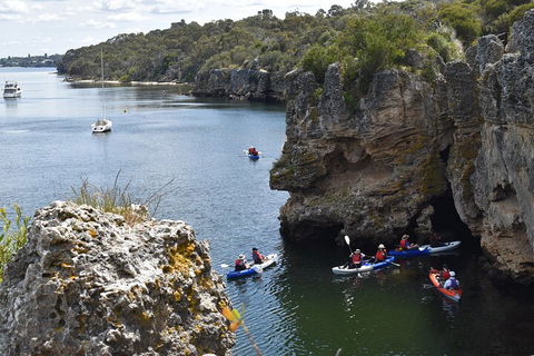 Cliffs And Caves Kayak Tour In Swan River - Accommodation Burleigh 5