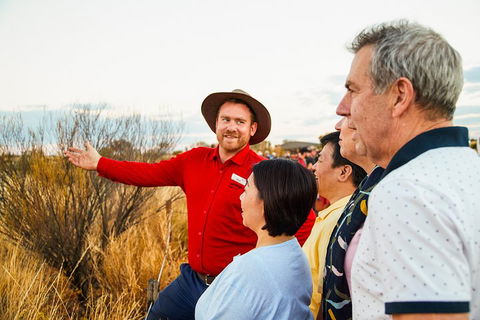 Uluru (Ayers Rock) Sunset With Outback Barbecue Dinner And Star Tour - Accommodation Burleigh 3
