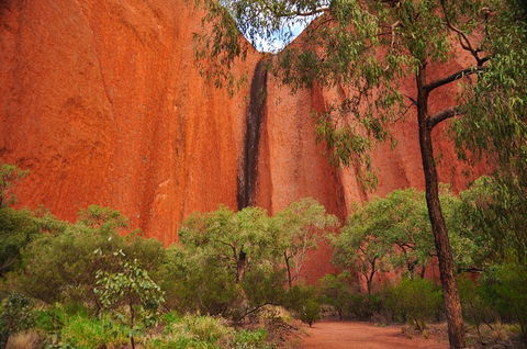 Uluru Sunrise And Guided Base Walk - Accommodation Burleigh 3