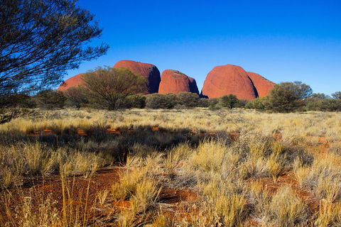 Kata Tjuta Sunrise And Valley Of The Winds Half-Day Trip - Accommodation Burleigh 1