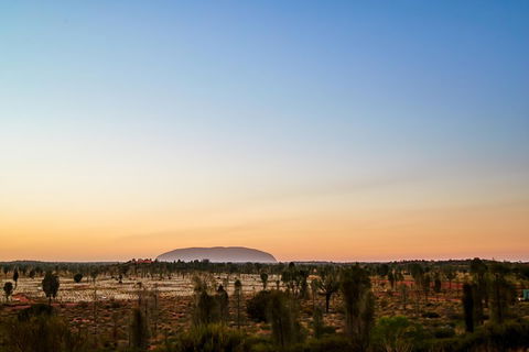 Uluru (Ayers Rock) Field Of Light Sunrise Tour - Accommodation Burleigh 0