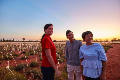 Uluru (Ayers Rock) Field Of Light Sunrise Tour - Accommodation Burleigh 2