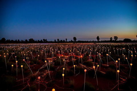 Uluru (Ayers Rock) Field Of Light Sunrise Tour - Accommodation Burleigh 4