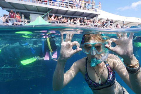 Great Barrier Reef Day Cruise From Cairns Including Snorkeling And Marine Biologist Presentation - Accommodation Burleigh 0