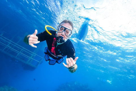 Great Barrier Reef Day Cruise From Cairns Including Snorkeling And Marine Biologist Presentation - Accommodation Burleigh 3