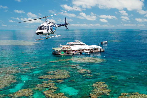Great Barrier Reef Day Cruise From Cairns Including Snorkeling And Marine Biologist Presentation - Accommodation Burleigh 5