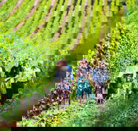 Tasmanian Wine Tour - Accommodation Burleigh