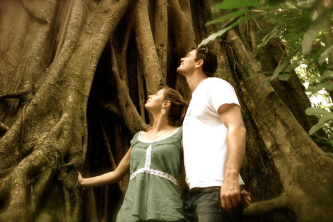 Daintree And Cape Tribulation Full Day Guided Tour - Accommodation Burleigh 5