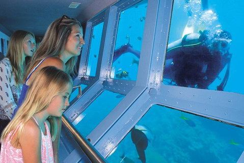 Quicksilver Outer Great Barrier Reef Snorkel Cruise From Palm Cove - Accommodation Burleigh 0