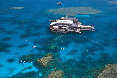Quicksilver Outer Great Barrier Reef Snorkel Cruise From Palm Cove - Accommodation Burleigh 1