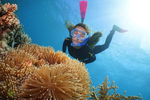 Quicksilver Outer Great Barrier Reef Snorkel Cruise From Palm Cove - Accommodation Burleigh 2