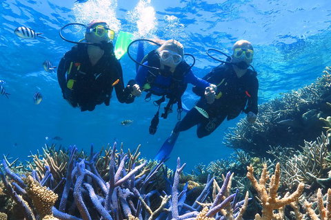 Quicksilver Outer Great Barrier Reef Snorkel Cruise From Palm Cove - Accommodation Burleigh 3