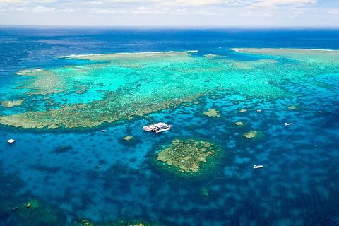 Quicksilver Outer Great Barrier Reef Snorkel Cruise From Palm Cove - Accommodation Burleigh 4
