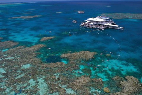 Quicksilver Outer Great Barrier Reef Snorkel Cruise From Port Douglas - Accommodation Burleigh 3