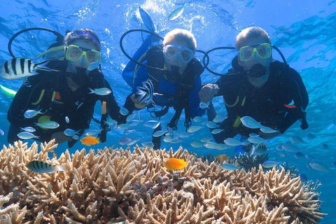 Quicksilver Outer Great Barrier Reef Snorkel Cruise From Port Douglas - Accommodation Burleigh 4