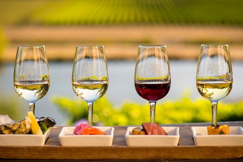 West Tamar Wine Tour - Accommodation Burleigh 1