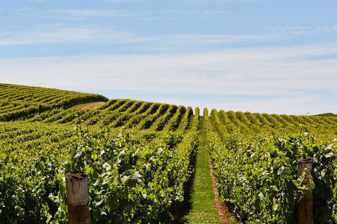 West Tamar Wine Tour - Accommodation Burleigh 2