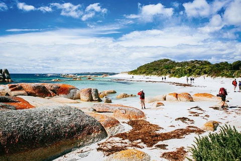 Wineglass Bay Private Charter Service - Accommodation Burleigh 3