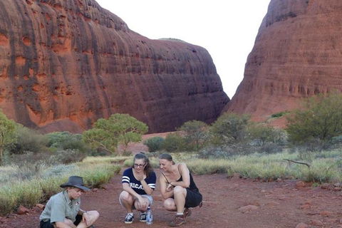 5-Hour Kata Tjuta Sunrise Tour From Ayers Rock With Breakfast - Accommodation Burleigh 0
