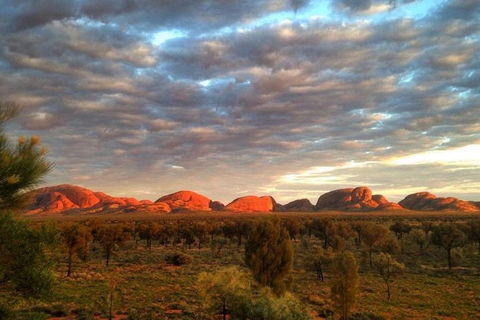 5-Hour Kata Tjuta Sunrise Tour From Ayers Rock With Breakfast - Accommodation Burleigh 1
