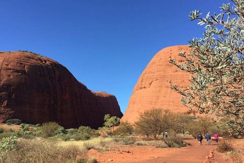 5-Hour Kata Tjuta Sunrise Tour From Ayers Rock With Breakfast - Accommodation Burleigh 4