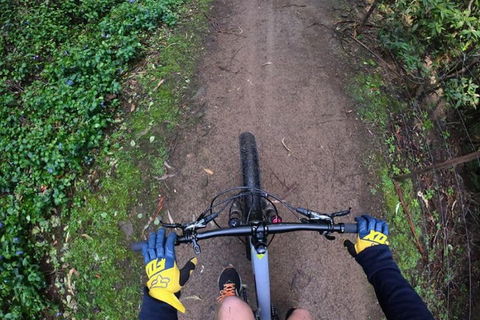 Explore Downhill Mountain In 3-Hour Bike Tour From Hobart - Accommodation Burleigh 2