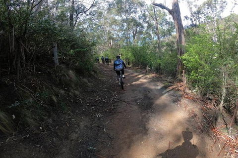 Explore Downhill Mountain In 3-Hour Bike Tour From Hobart - Accommodation Burleigh 3
