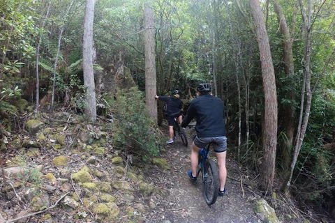 Explore Downhill Mountain In 3-Hour Bike Tour From Hobart - Accommodation Burleigh 4
