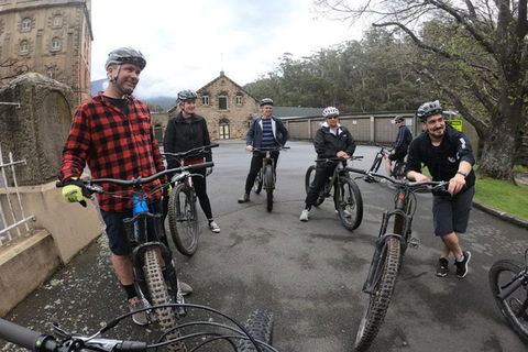 Explore Downhill Mountain In 3-Hour Bike Tour From Hobart - Accommodation Burleigh 5