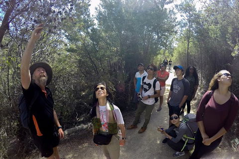 Active Day Tour One-Way From Launceston To Hobart Via Wineglass Bay - Accommodation Burleigh 0