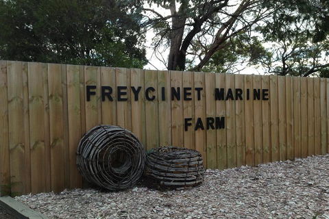 Active Day Tour One-Way From Launceston To Hobart Via Wineglass Bay - Accommodation Burleigh 3