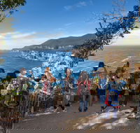 Port Arthur and Tassie Devils Active Day Tour from Hobart - Accommodation Burleigh