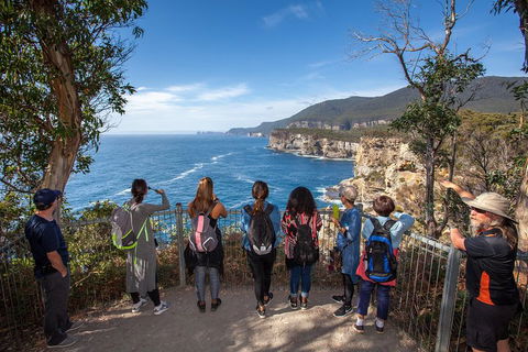 Historic Port Arthur Day Trip From Hobart Including Cliff-Top Walk To Waterfall Bay - Accommodation Burleigh 0