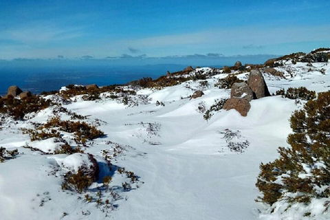 Mt Wellington Ultimate Experience Tour From Hobart - Accommodation Burleigh 4