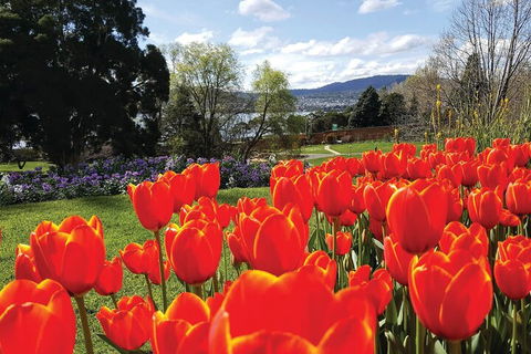 Hobart Half-Day Sightseeing Coach Tram Tour - Accommodation Burleigh 4