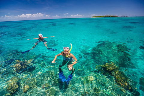 Green Island Discovery Including Glass Bottom Boat Tour Departing Cairns - Accommodation Burleigh 2